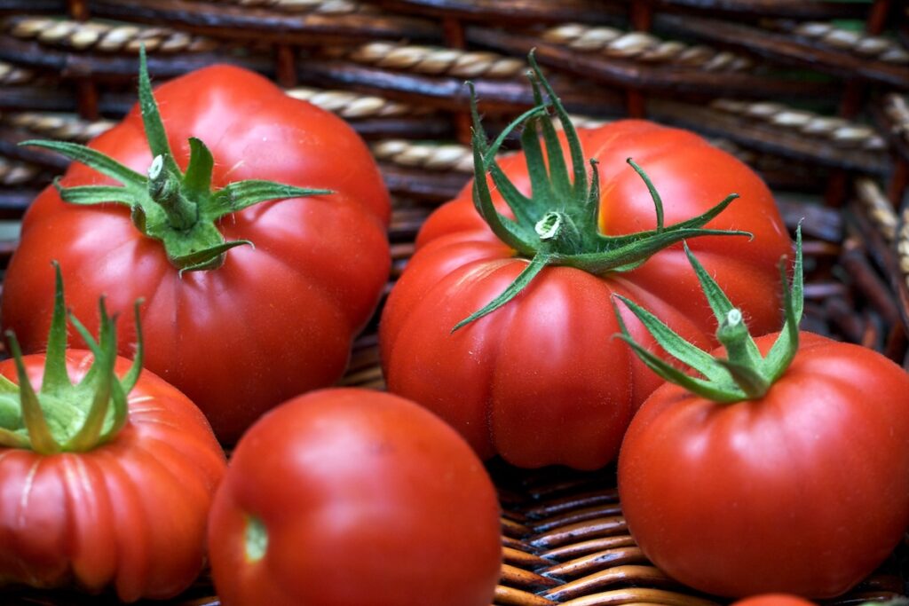 Tomates ©Susy Morris CC BY-NC 2.0