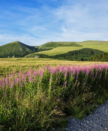 Vacances ©Kiev.Victor shutterstock