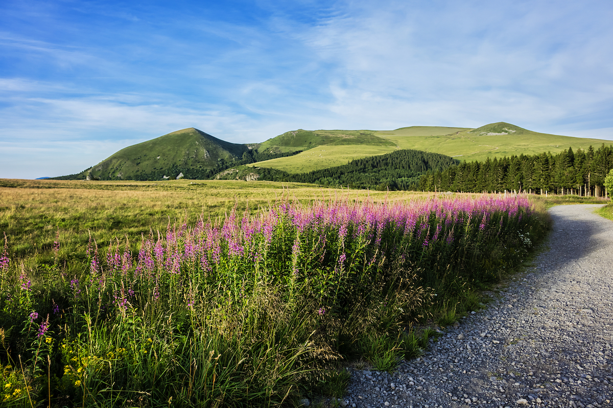 Vacances © Kiev.Victor shutterstock
