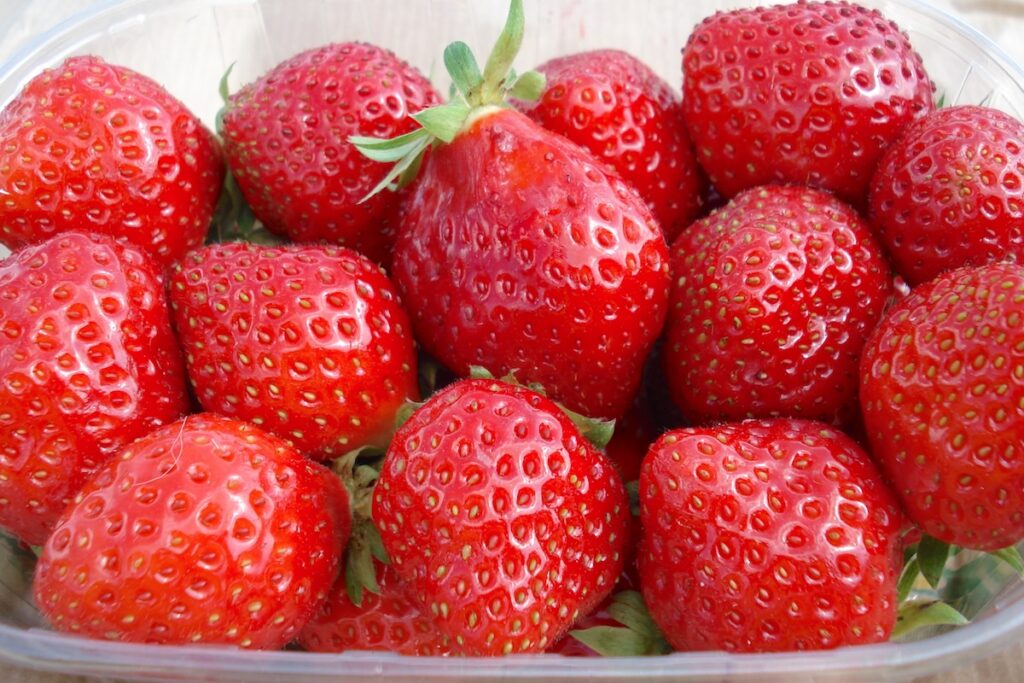 Fraises ©Sancho McCann CC BY 2.0