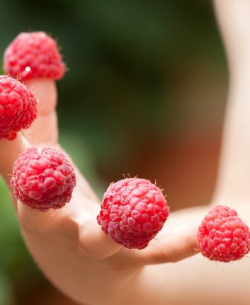 Framboises fraîches ©De Tomsickova Tatyana shutterstock