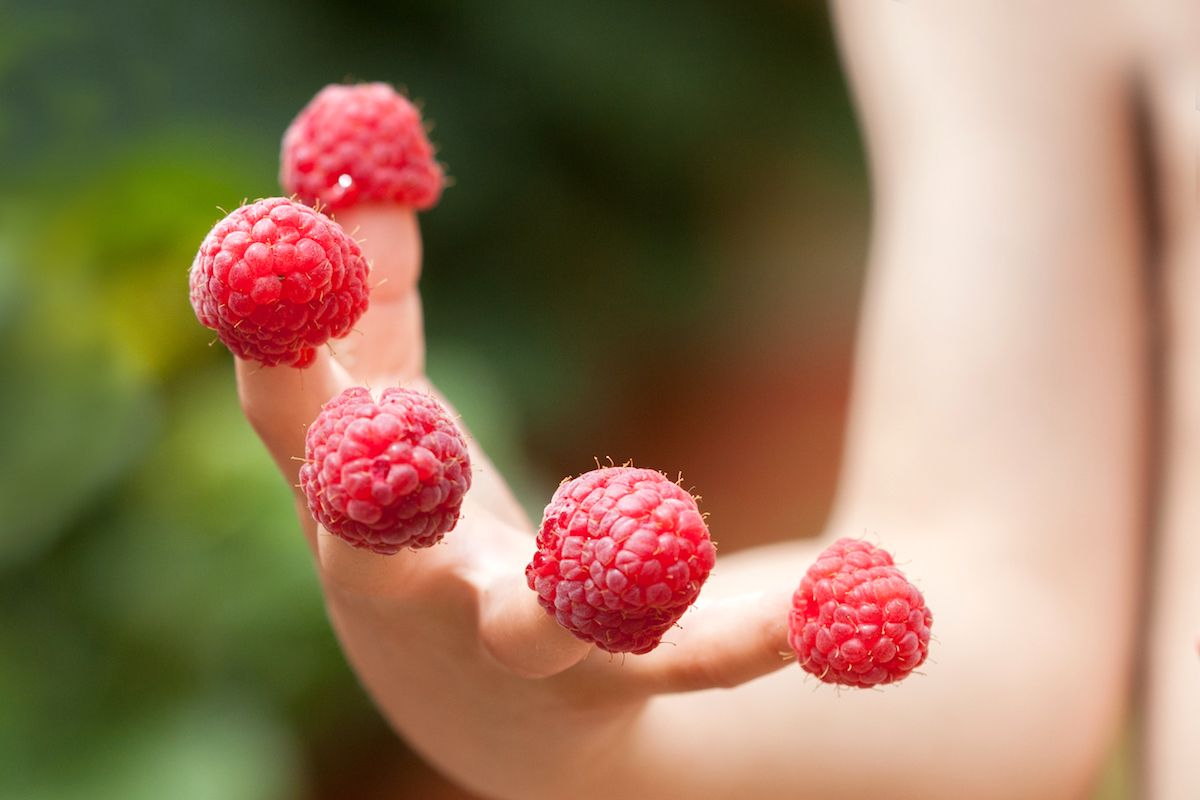 Framboises fraîches ©De Tomsickova Tatyana shutterstock
