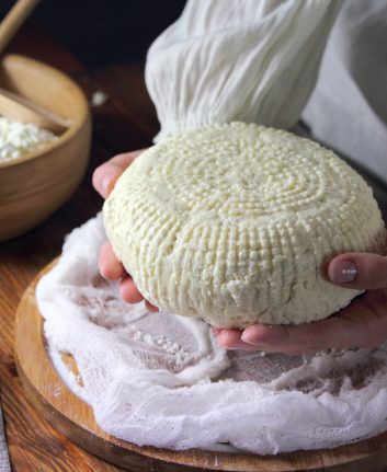 Fromage © lenakorzh shutterstock