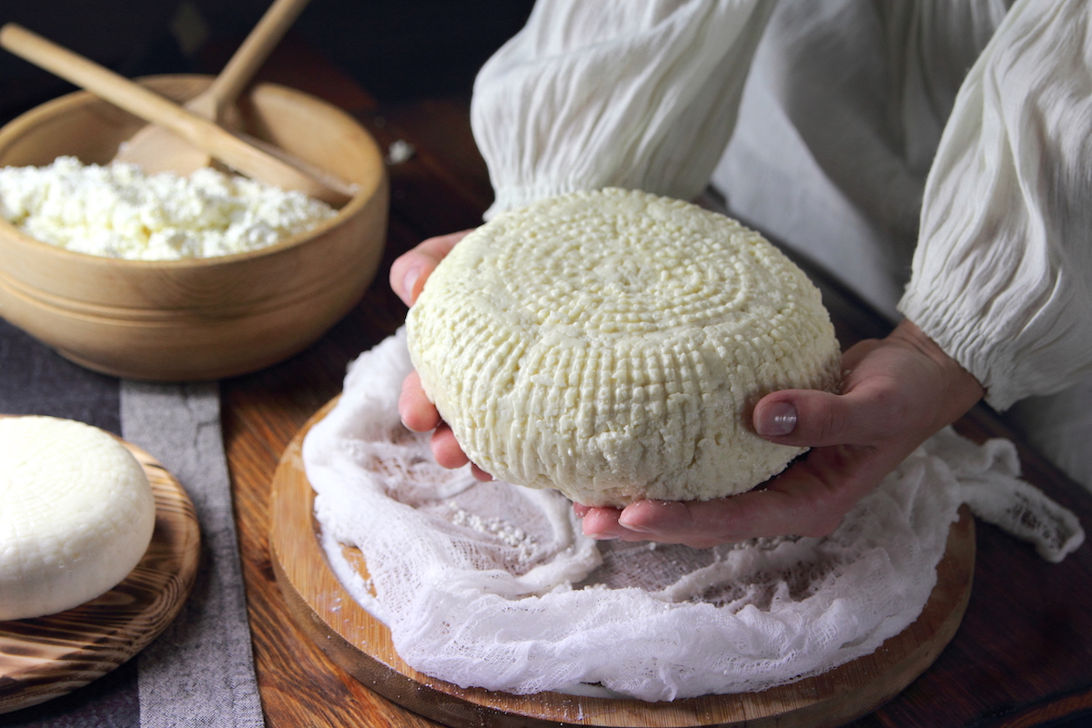 Fromage © lenakorzh shutterstock