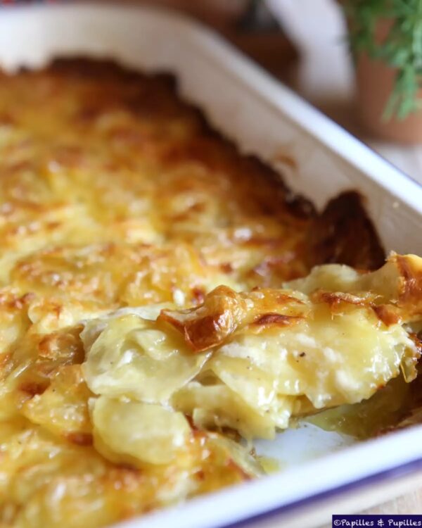 Gratin Dauphinois