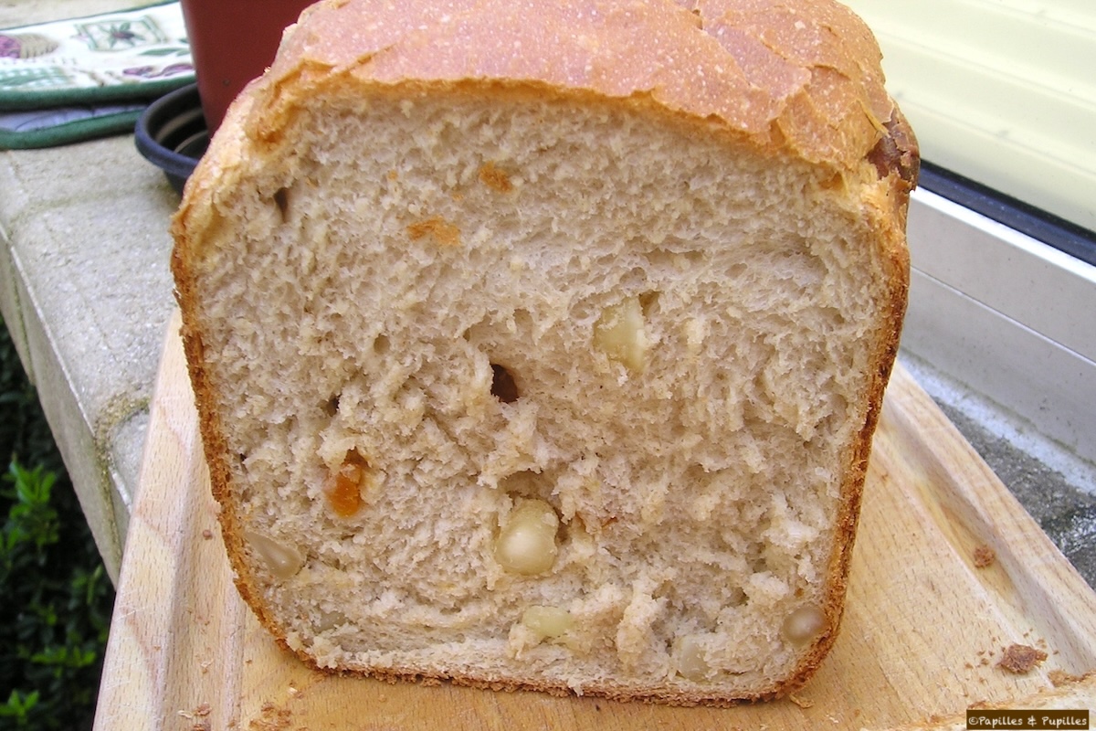 Pain aux abricots et noix de Macadamia en Machine à Pain