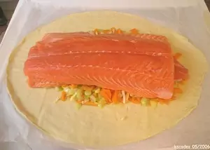 Mettez le filet de saumon