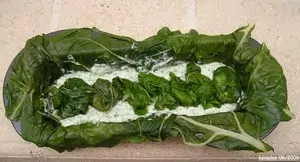 Mettez les herbes sur la mousse