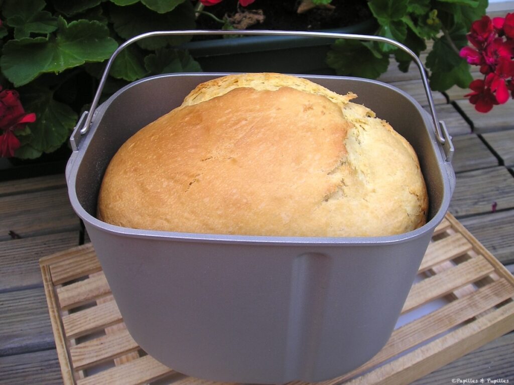 A la fin du programme