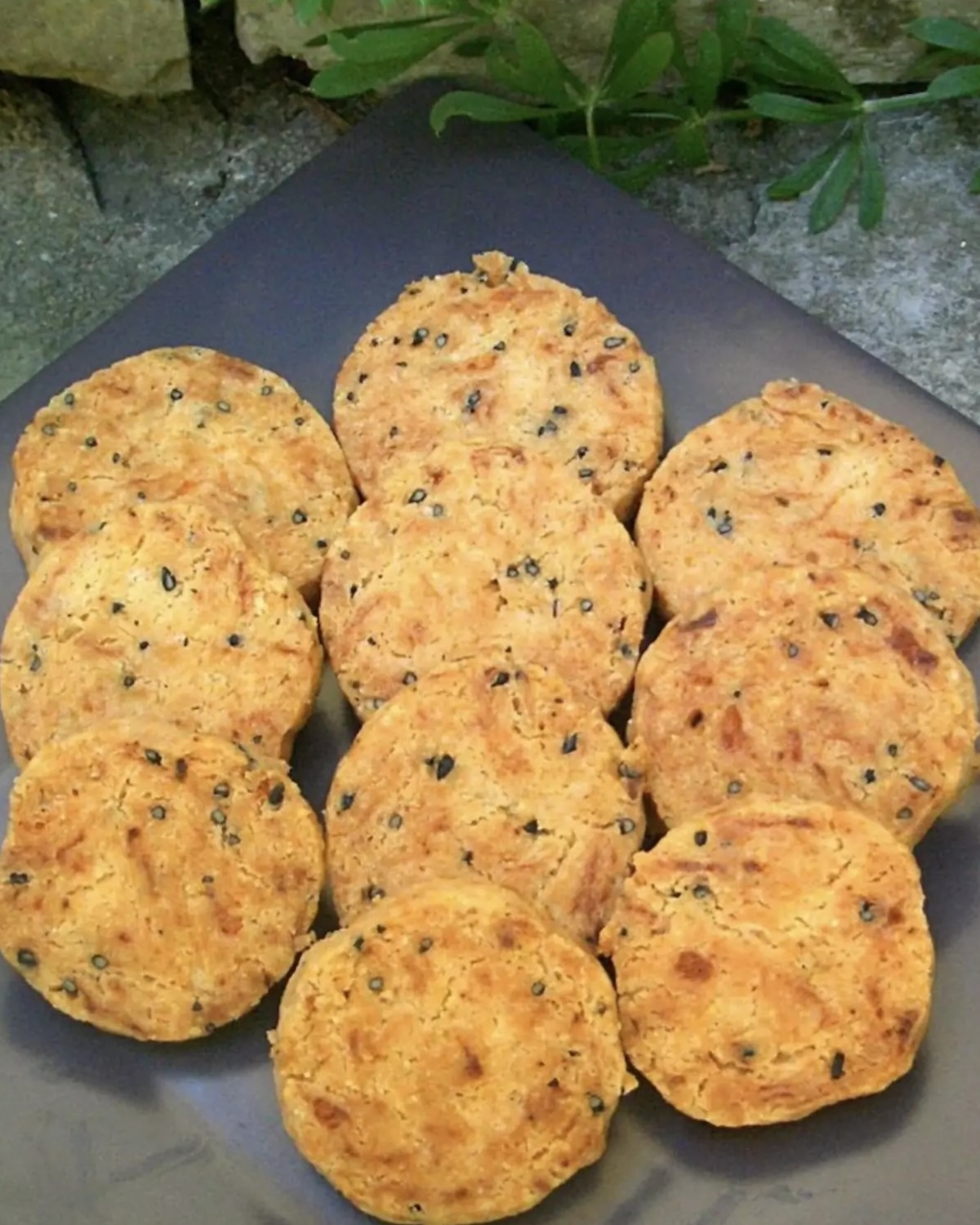Biscuits à la farine torréfiée sans oeufs