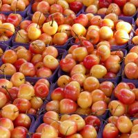 Cerises Napoleon (c) Verner22Brigitte - Pixabay - CC0 PublicDomain