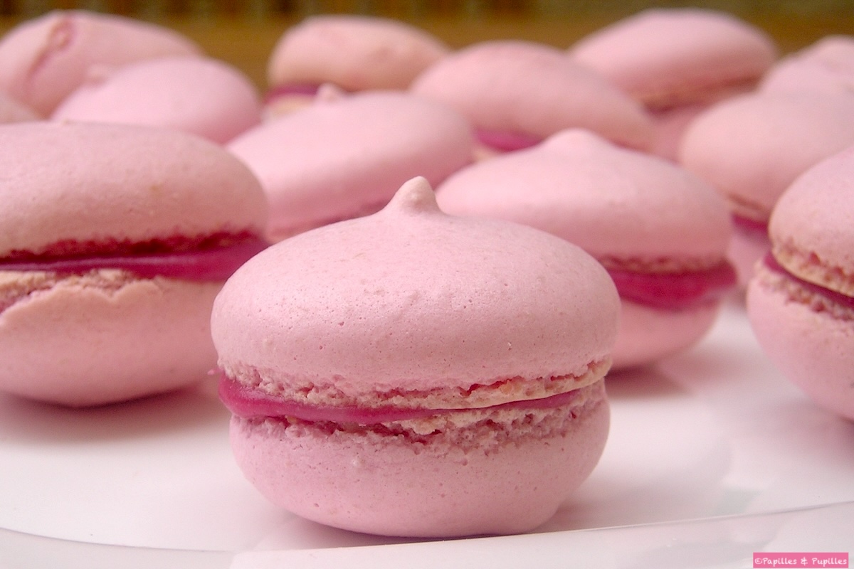 Macarons framboises chocolat blanc
