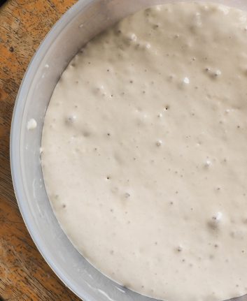 Poolish ©chaechaebyv shutterstock