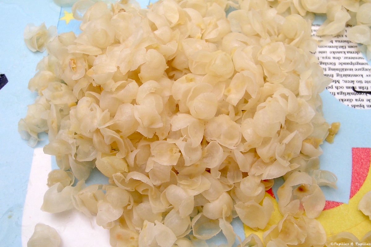 Peaux des pois chiches