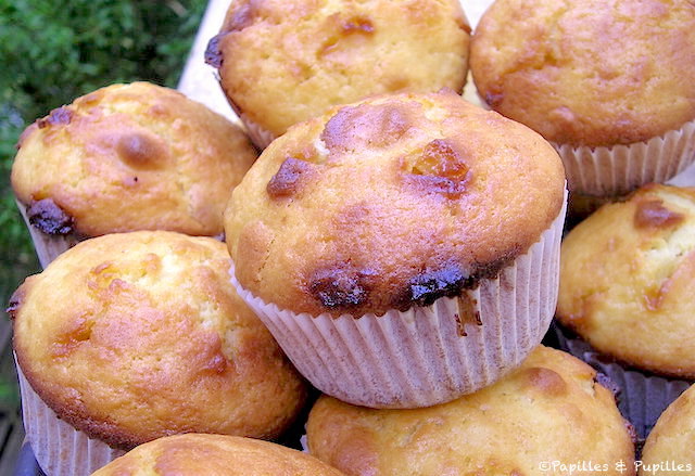 Muffins au chocolat blanc et noix de Macadamia