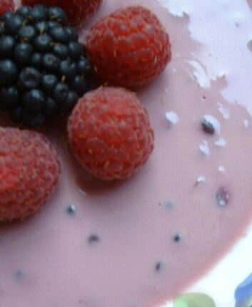 Pannacotta de soja à la mûre et au miel de trèfle