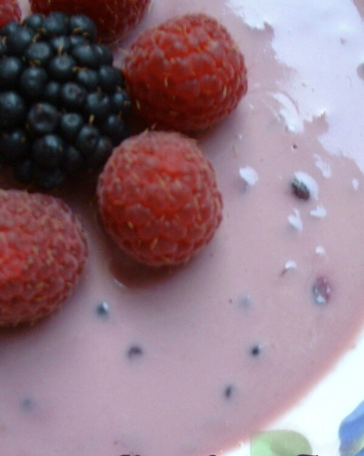 Pannacotta de soja à la mûre et au miel de trèfle