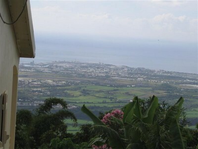 Bois de nèfles Saint PAul, Réunion