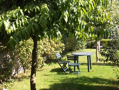 Elfe - le petit monde elfique