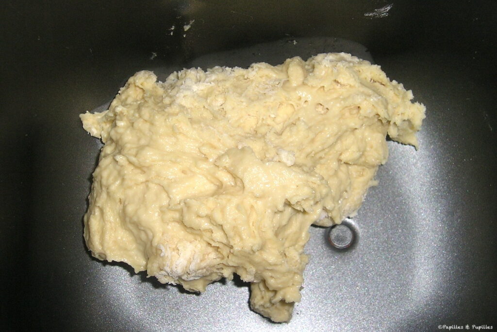Eponge