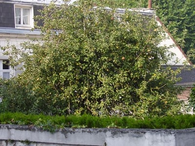 Rosine, La cusine de Rosine - Arras, Pas de Calais, France