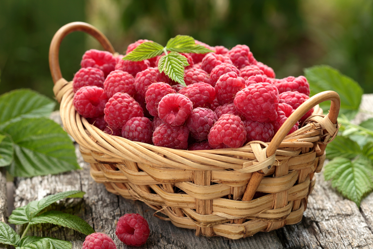 Framboises ©Shulevskyy Volodymyr shutterstock