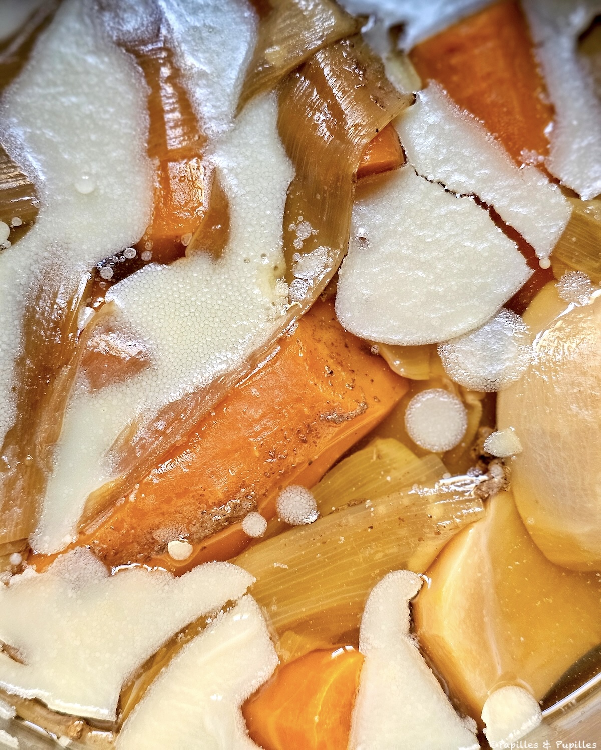 Graisse du pot au feu figée