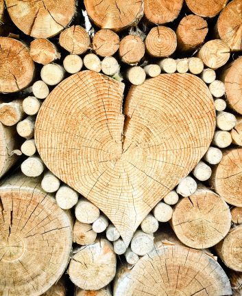 Coup de coeur ©TheUjulala CC0 Pixabay