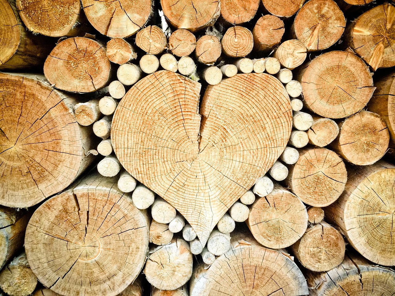 Coup de coeur ©TheUjulala CC0 Pixabay