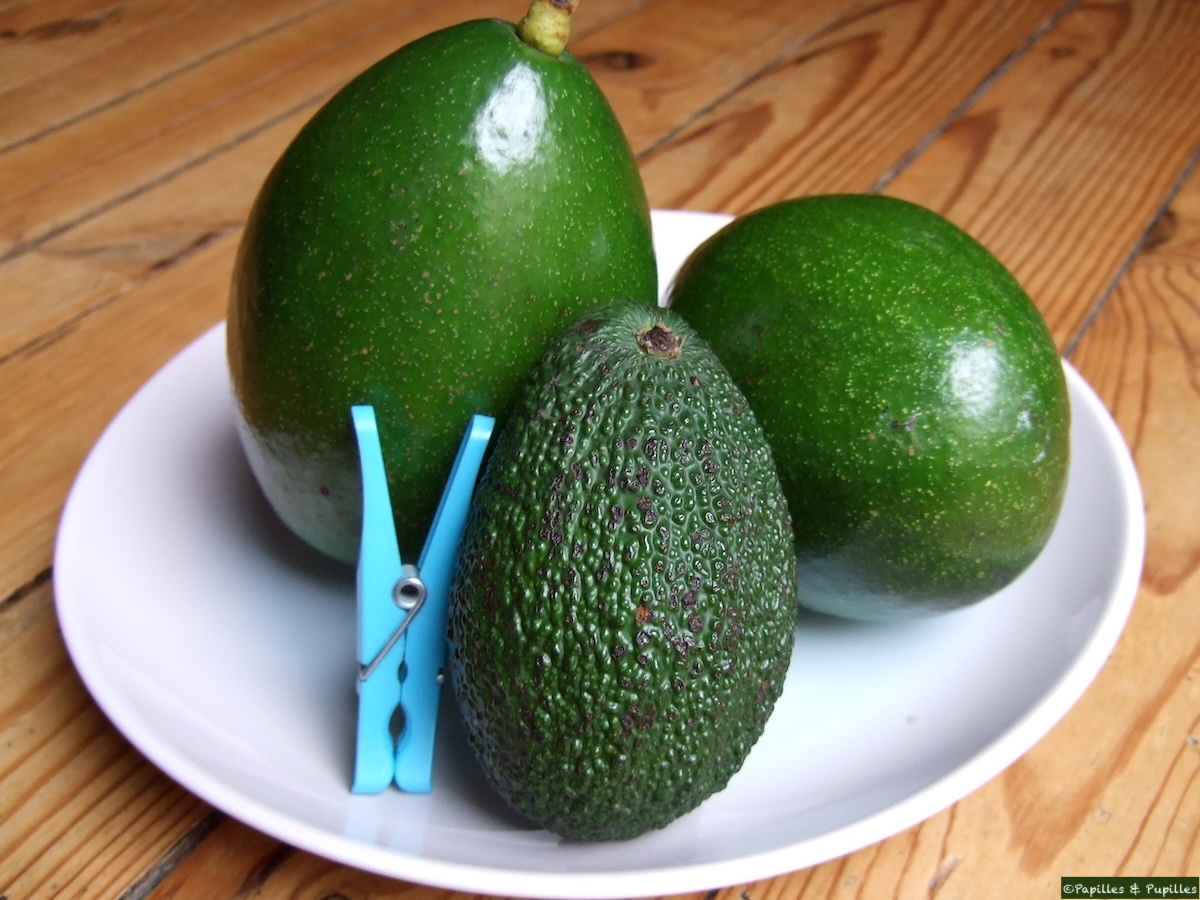 Avocat et avocats tropicaux