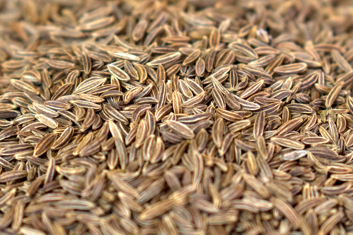 Graines de carvi ©Eve Zedd CC BY-ND 2.0