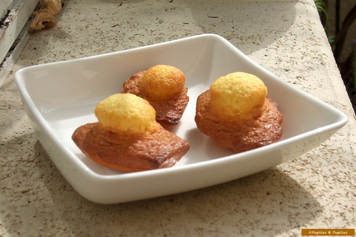 Madeleines (à bosses) au miel et à l'ananas confit