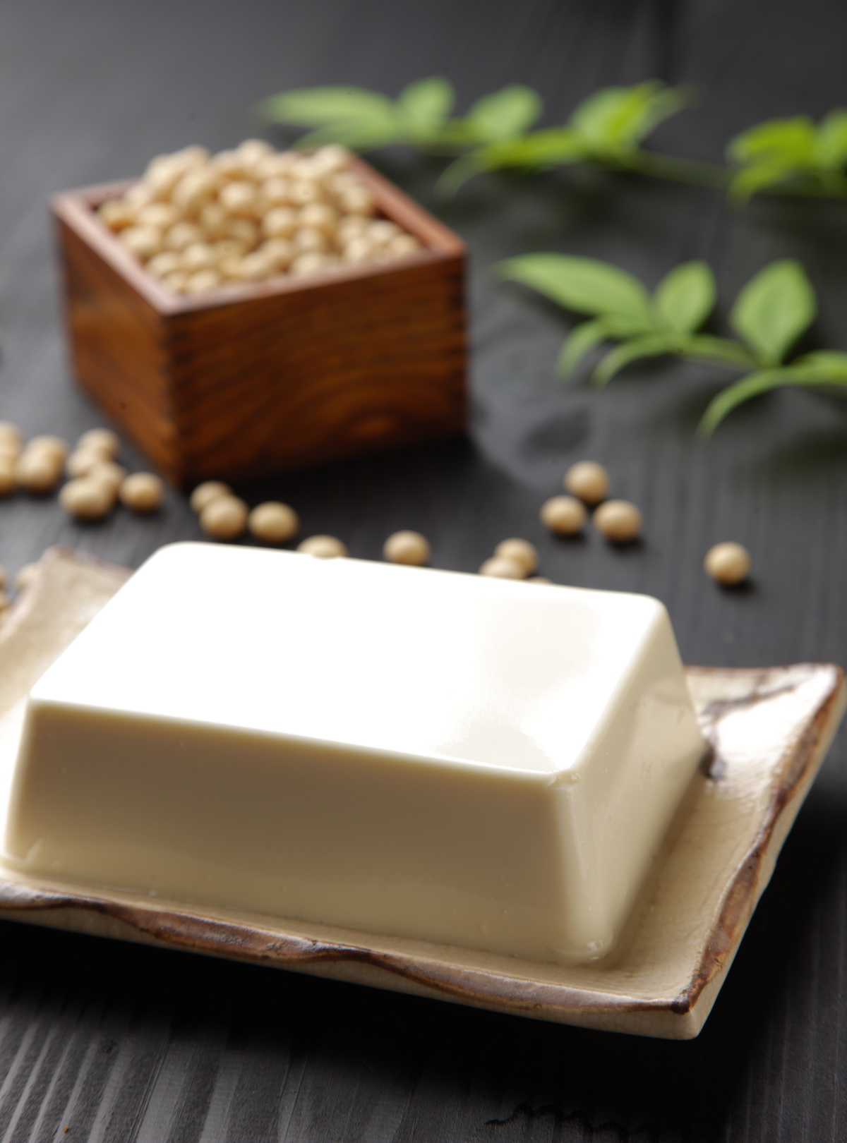 Tofu Soyeux © UV70 shutterstock