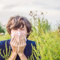 Allergies ©Elizaveta Galitckaia shutterstock