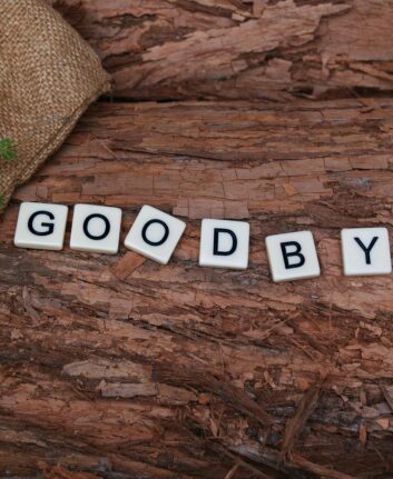 Au revoir ©KateCox CC0 Pixabay