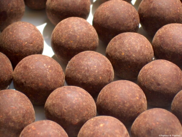 Chocolat Xocopili