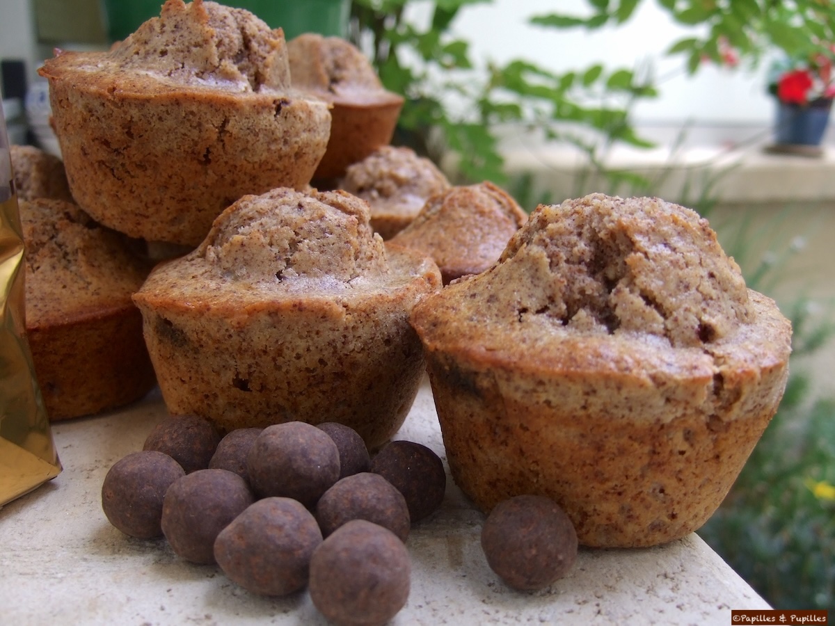 Muffins aux noix et au Xocopili