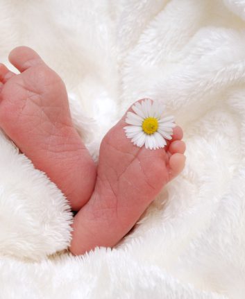 Naissance ©kelin CC0 Pixabay