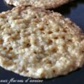 Biscuits aux flocons d'avoine sans oeufs