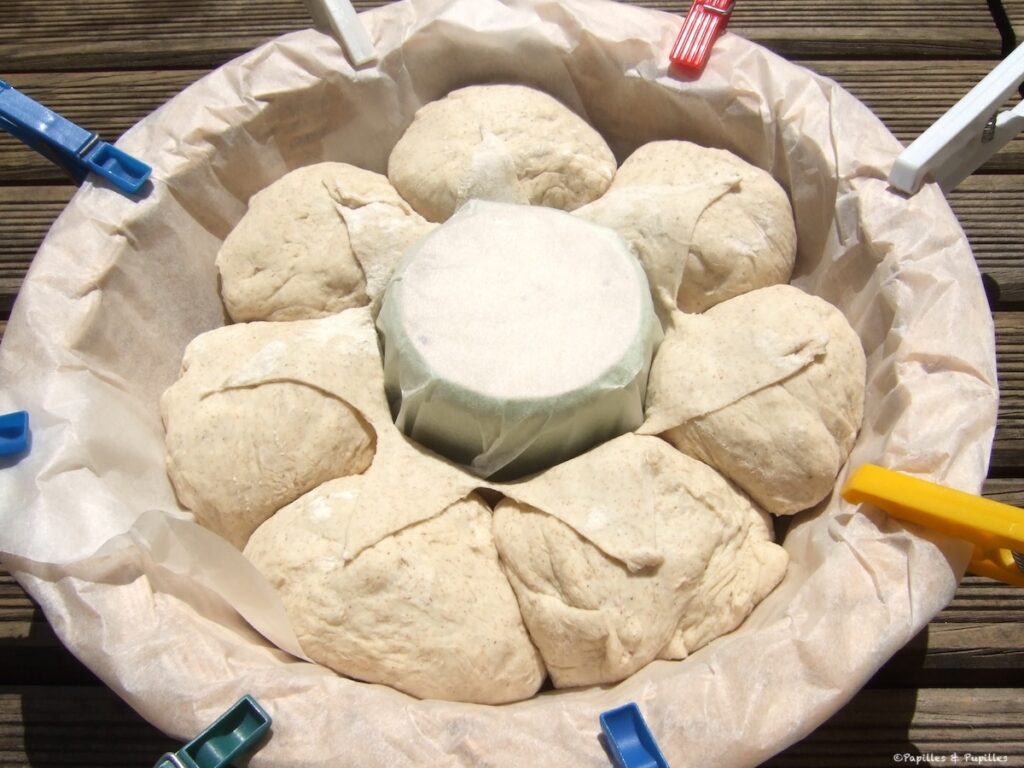 Boules de pâtes avant la levée