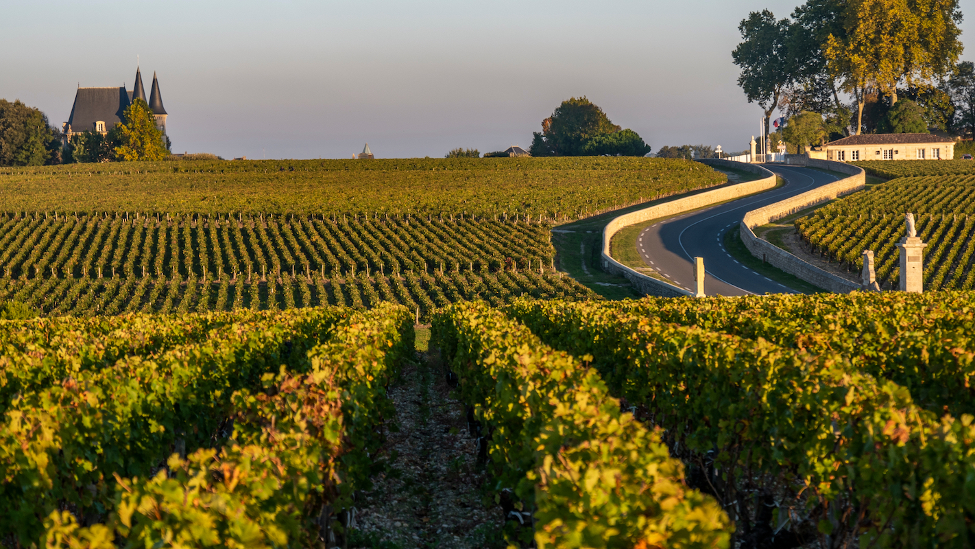 Route des châteaux - Medoc © SpiritProd33. shutterstock