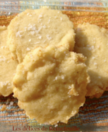 Sablés avoine Parmesan