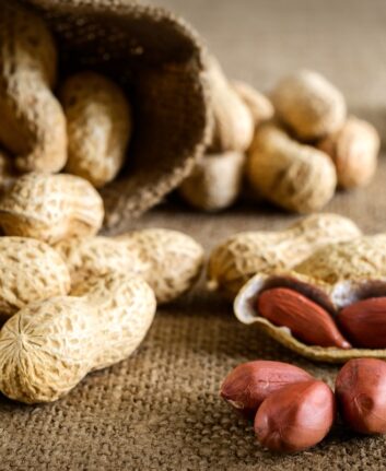 Peeled peanut on well peanuts