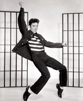 Elvis (c) Kaz CC0 Pixabay