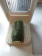 Alligator et courgettes