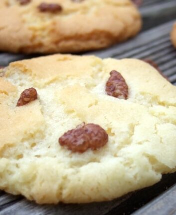 Biscuits ourson