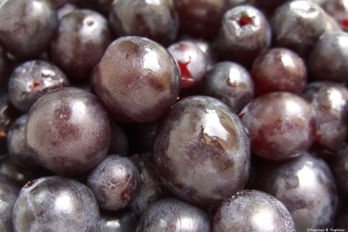 Grains de raisin