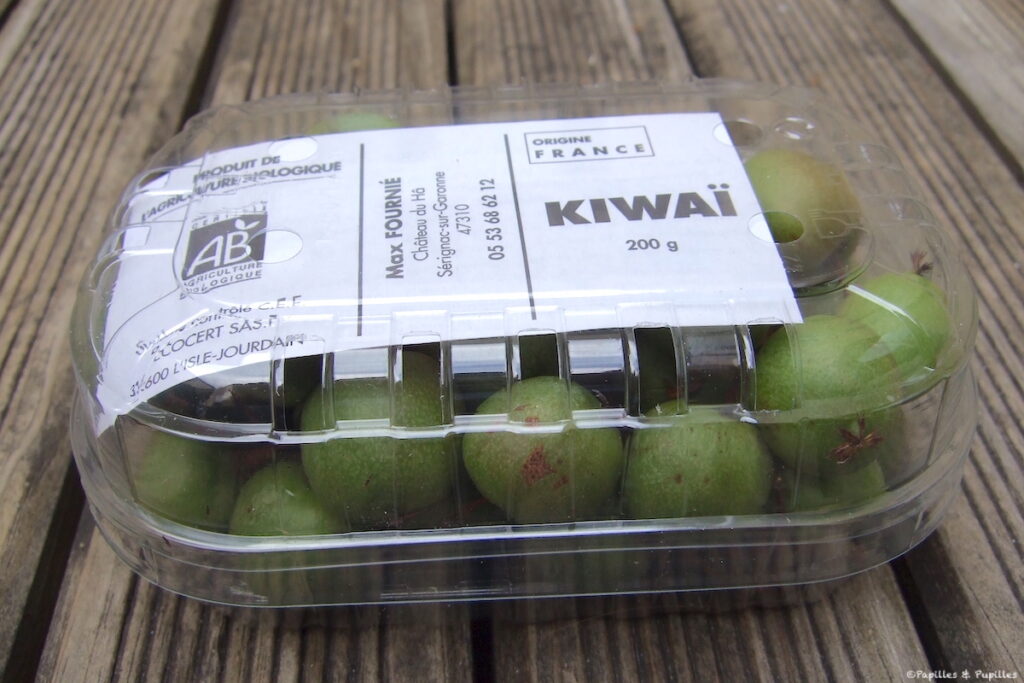 Barquette de Kiwaï
