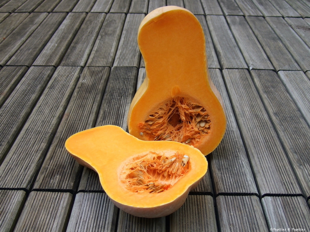 Courge butternut coupée en deux, graines visibles