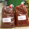 Niora piquante et Niora